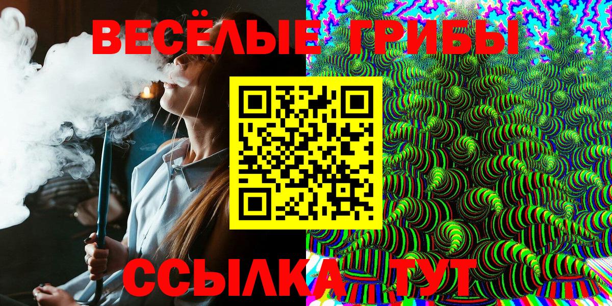 Псилоцибиновые грибы GOLDEN TEACHER  магазин продажи наркотиков  Шелехов  Вход с VPN 