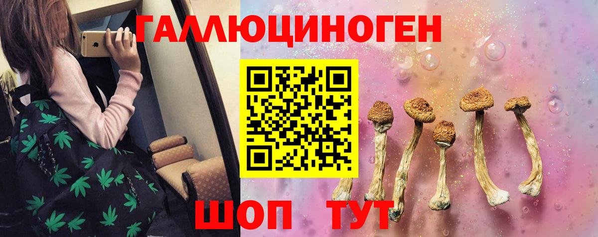Галлюциногенные грибы MAGIC MUSHROOMS Шелехов